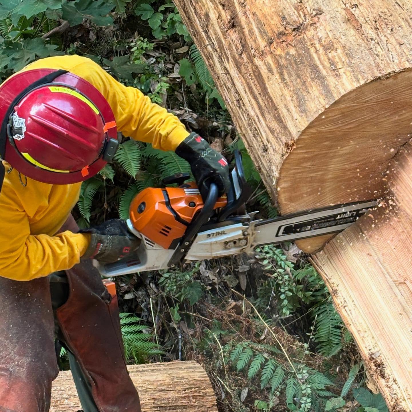 Wildland Firefighting Gloves