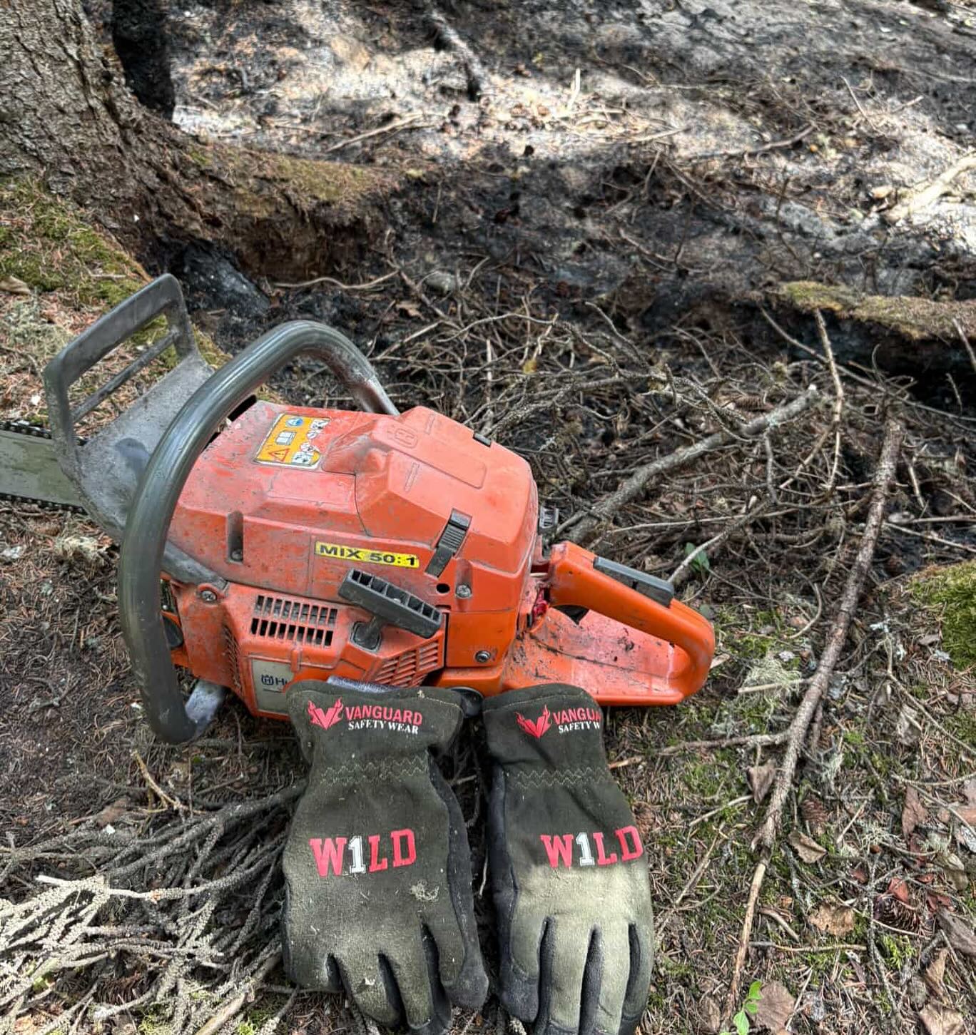 Wildland Firefighting Gloves
