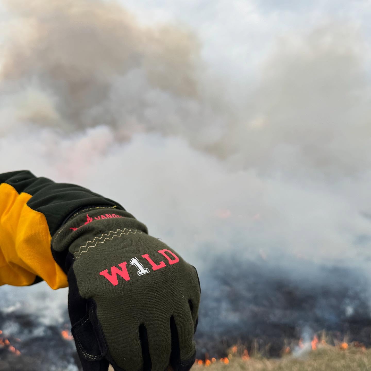 Wildland Firefighting Gloves